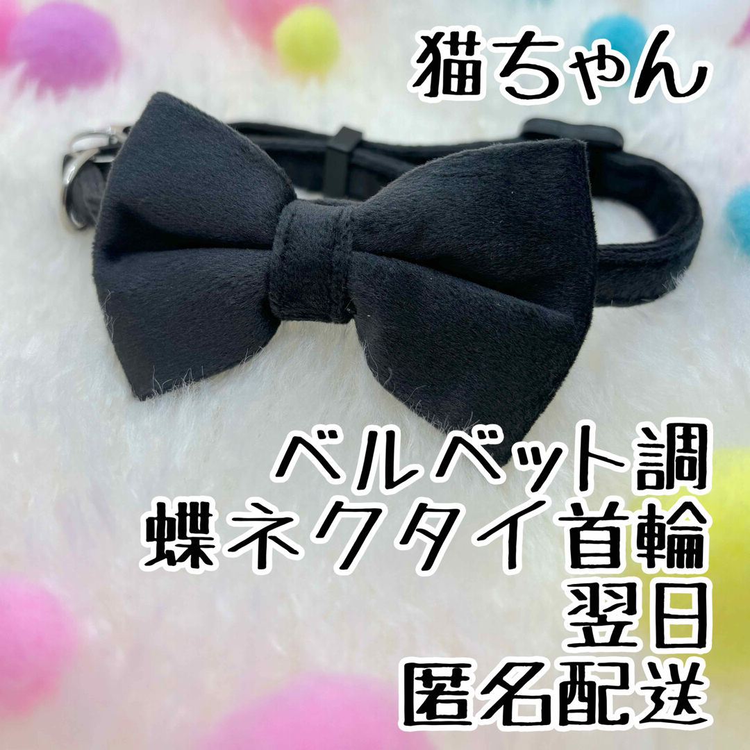 ねこちゃん　ベルベット蝶ネクタイ首輪　黒 その他のペット用品(猫)の商品写真