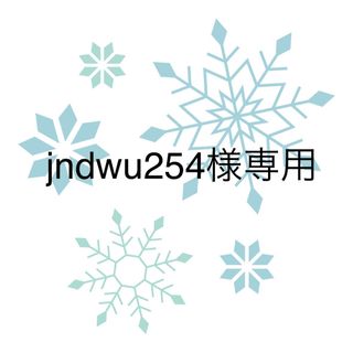 jndwu254様専用(その他)