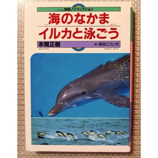 海のなかまイルカと泳ごう(絵本/児童書)