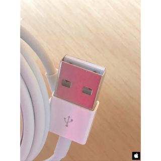 マック(Mac (Apple))の(２点)  iPhone付属品/Lightning Cable =Apple=(バッテリー/充電器)