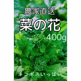 菜の花(ナバナ)  ネコポスいっぱい(400g)✳︎収穫後発送(野菜)