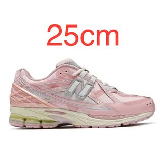 ニューバランス(New Balance)のNew Balance 1906R 25cm 1906N LN(スニーカー)