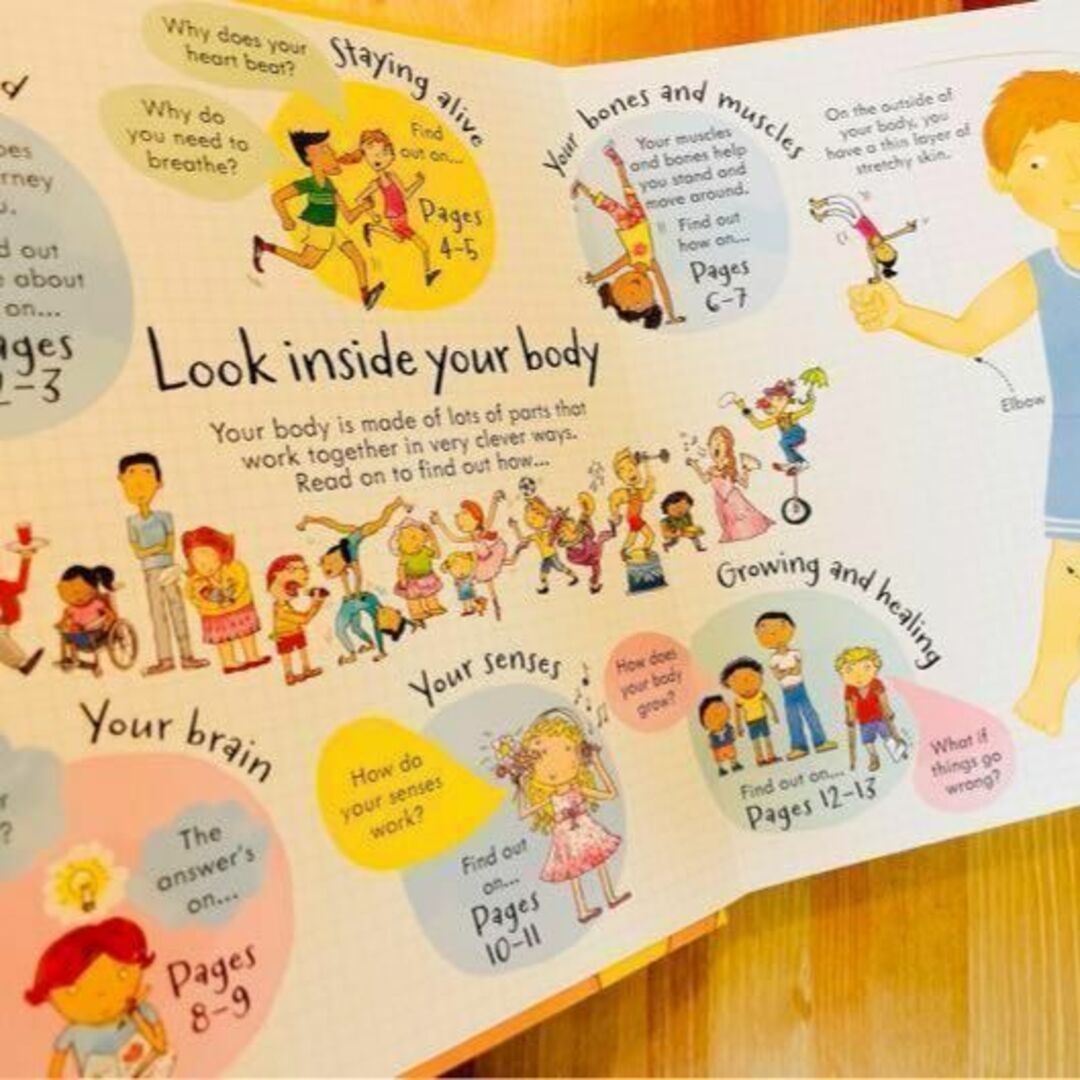 洋書Look inside Your Body Usborne 英語絵本 エンタメ/ホビーの本(洋書)の商品写真