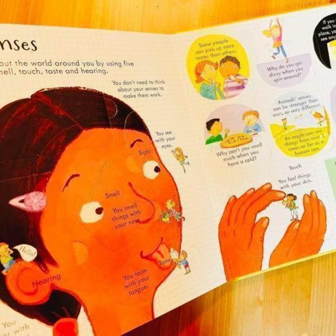 洋書Look inside Your Body Usborne 英語絵本 エンタメ/ホビーの本(洋書)の商品写真