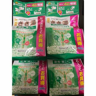 きき湯 マグネシウム炭酸湯 つめかえ用 480g×4個セット(入浴剤/バスソルト)