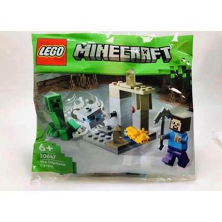 レゴ(Lego)のレゴ　マインクラフト　30647 鍾乳洞(知育玩具)