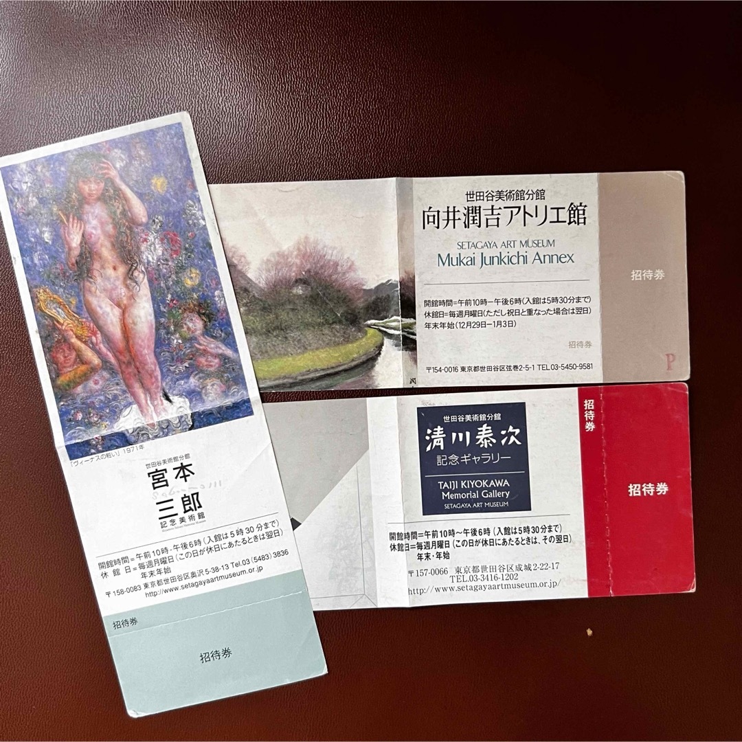 世田谷美術館分館　3館招待券 チケットの施設利用券(美術館/博物館)の商品写真