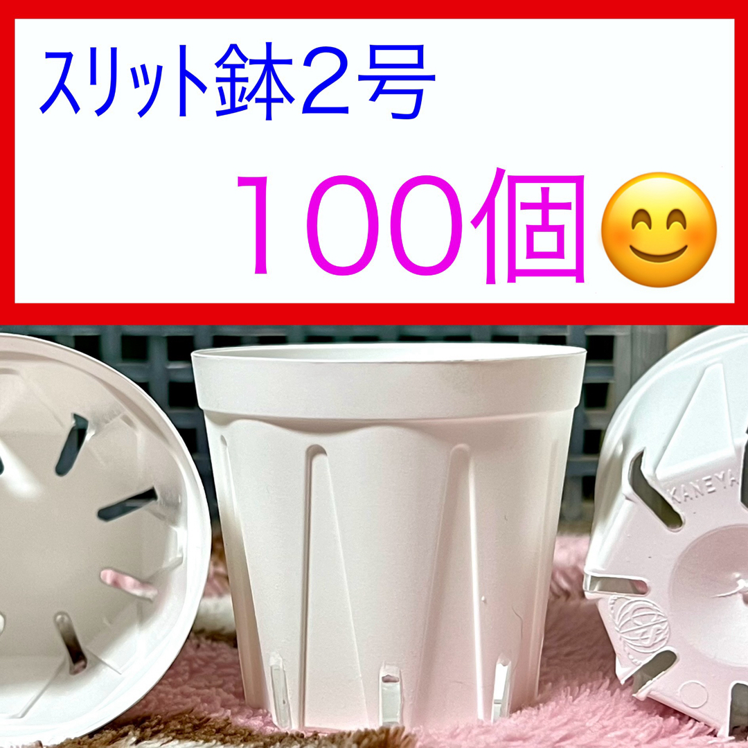 H⑦  ｽﾘｯﾄ鉢【2号】100個ｾｯﾄ★ﾎﾜｲﾄ ハンドメイドのフラワー/ガーデン(プランター)の商品写真