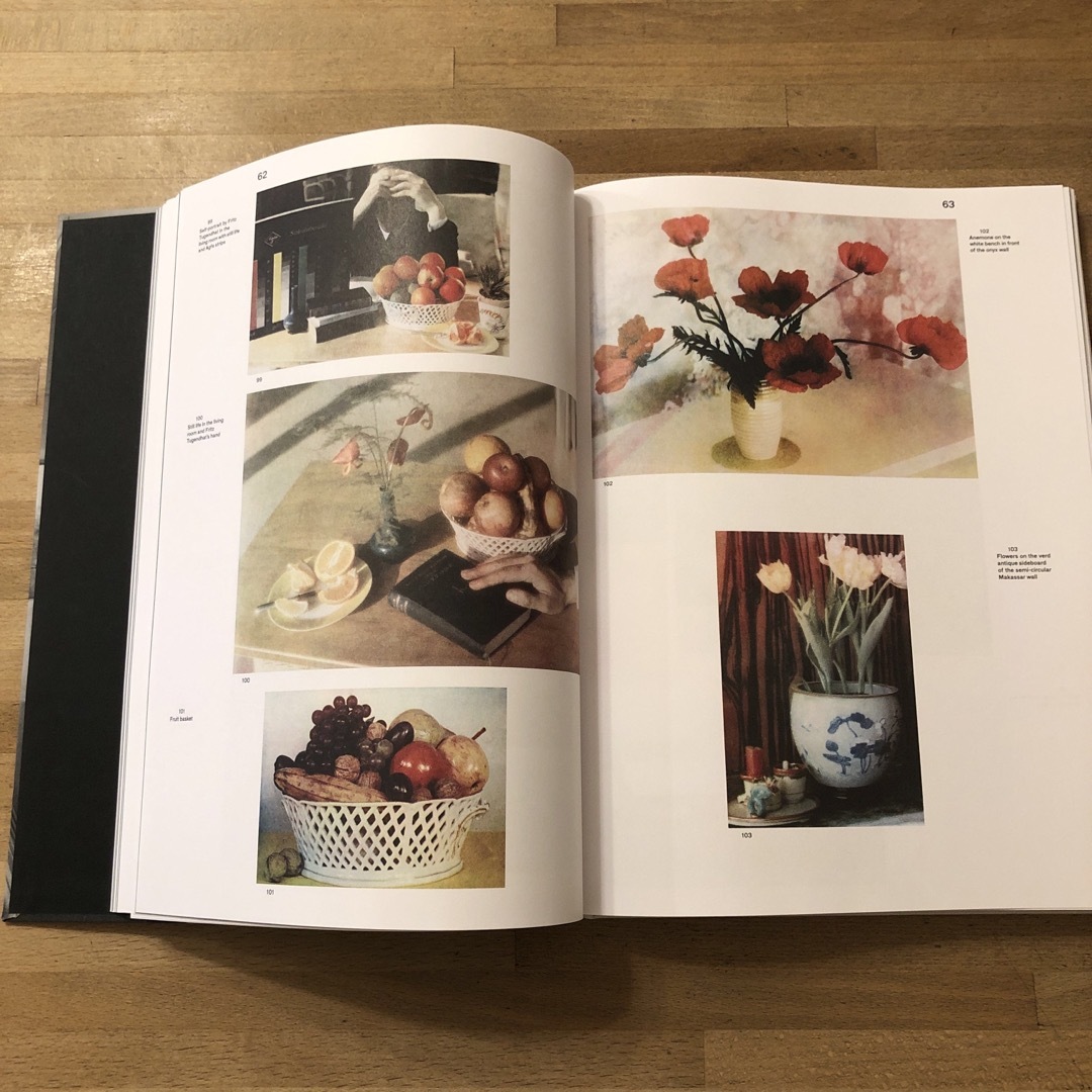 Ｔｕｇｅｎｄｈａｔ　Ｈｏｕｓｅ．　Ｌｕｄｗｉｇ　Ｍｉｅｓ　Ｖ エンタメ/ホビーの本(洋書)の商品写真