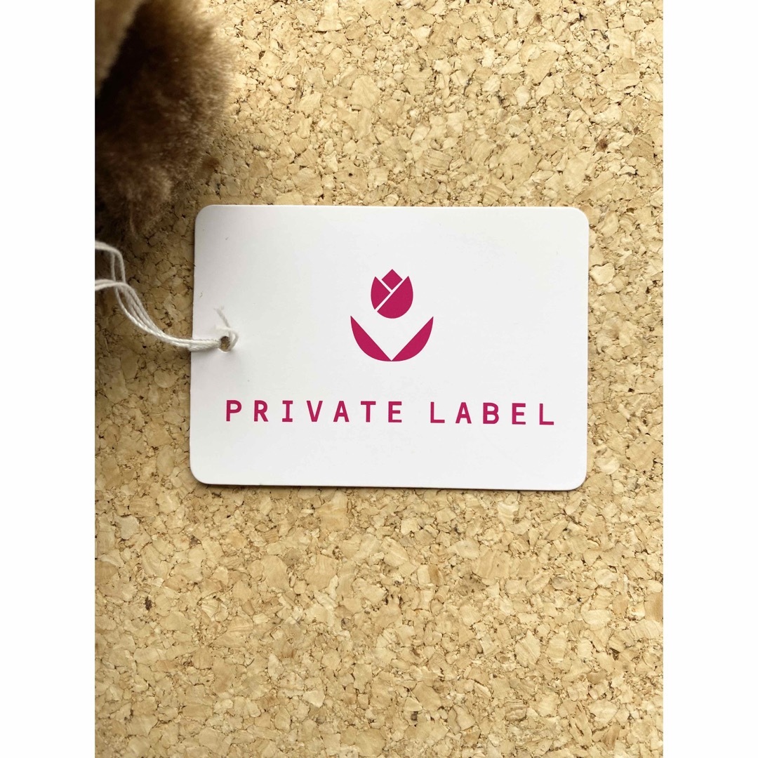 PRIVATE LABEL(プライベートレーベル)のPRIVATE LABEL　手袋　プライベートレーベル　 レディースのファッション小物(手袋)の商品写真