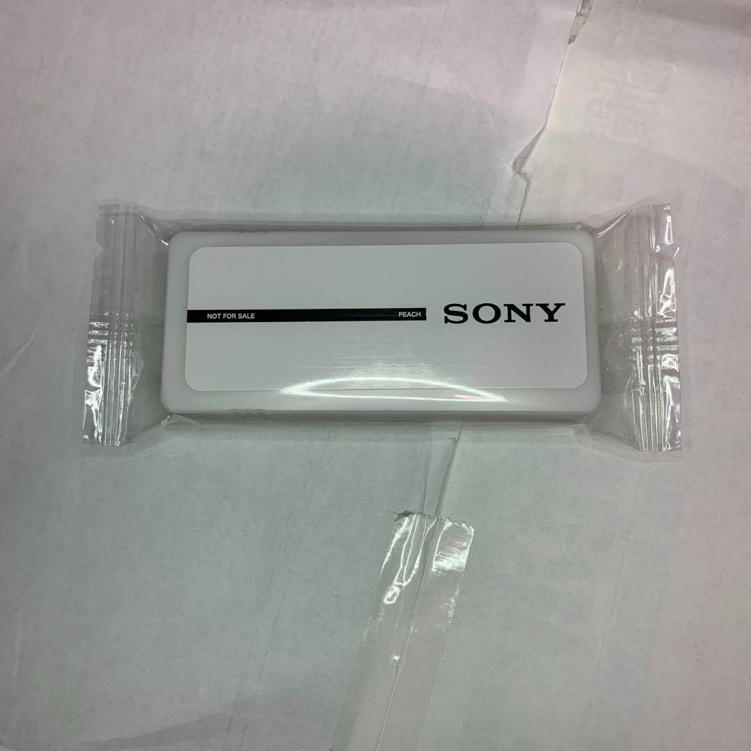 SONY(ソニー)のソニーロゴ入りグッズ レディースのバッグ(トートバッグ)の商品写真