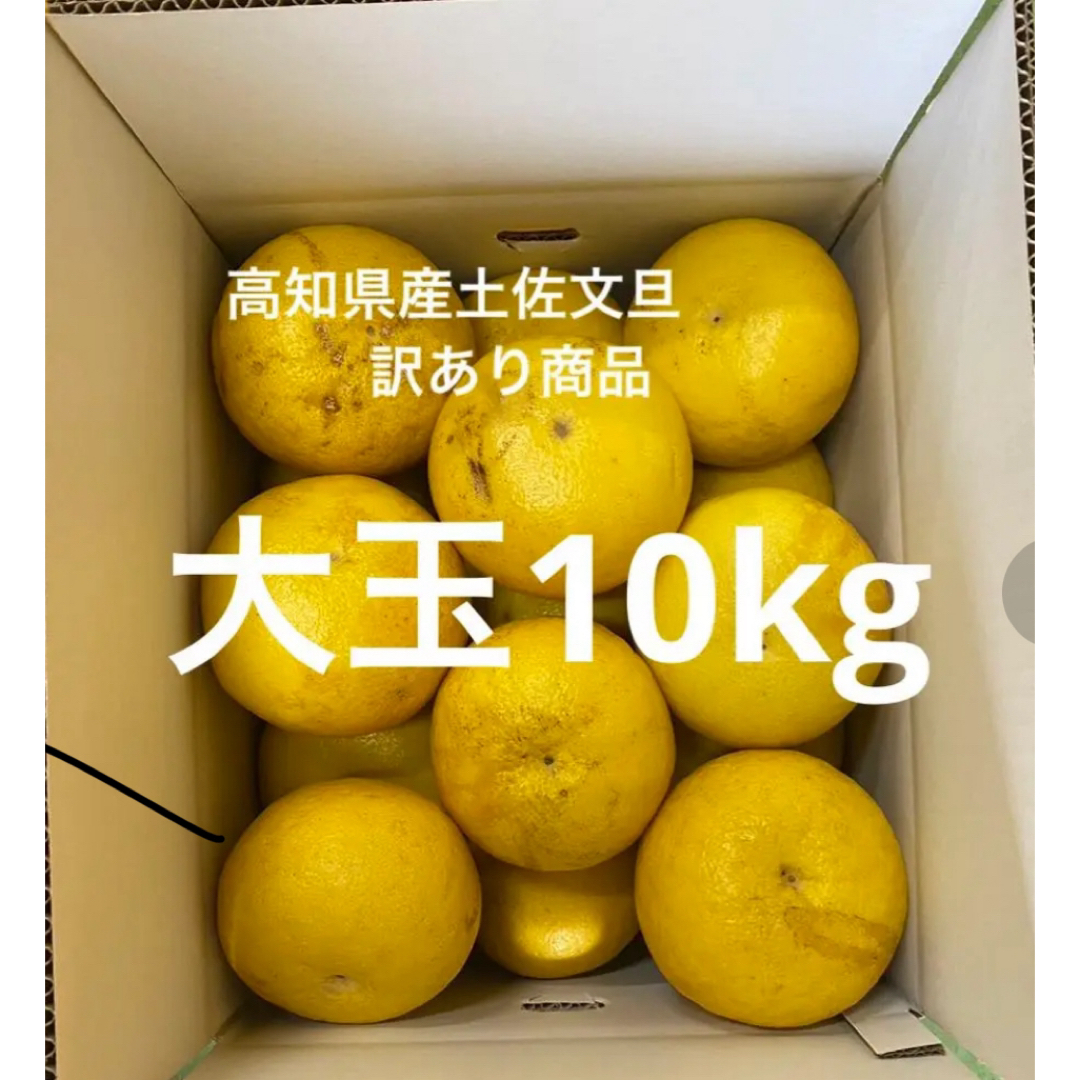 高知県産土佐文旦訳あり商品(大玉)10kg 食品/飲料/酒の食品(フルーツ)の商品写真