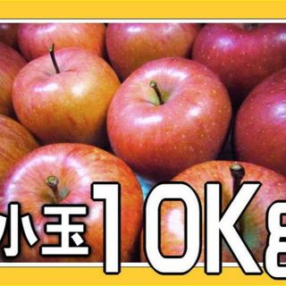 小玉【10kg以上】サンフジ【訳ありリンゴ】家庭用 りんご　サンふじ(フルーツ)