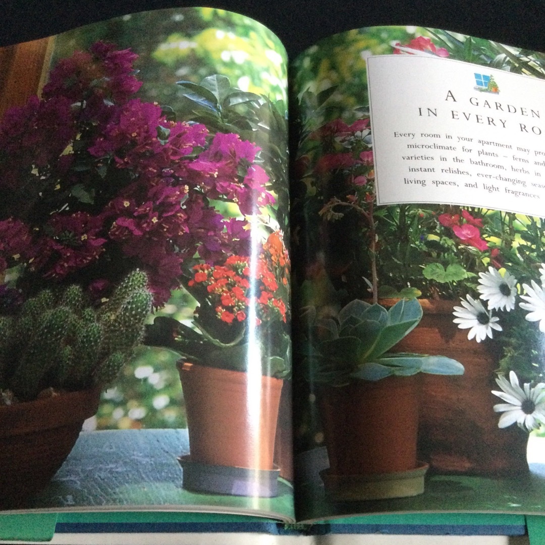 ガーデニング　インテリア　洋書　写真集　デコレーション　花　植物　フラワー　家 エンタメ/ホビーの本(洋書)の商品写真