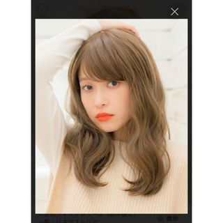 レオンカ美容室専売ウイッグ〈トップピース〉簡単装着〈展示品〉その他