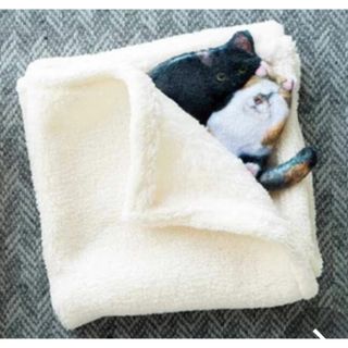 フェリシモ(FELISSIMO)の毛布で眠る猫ハンカチ　黒＆三毛 新品　フェリシモ猫部(ハンカチ)