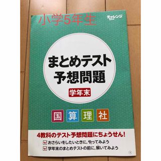 ベネッセ(Benesse)のチャレンジ　まとめテスト　小学5年生(語学/参考書)