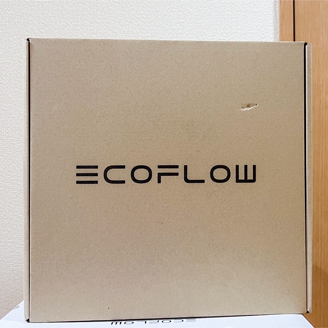 【新品】EcoFlow RIVER2 Pro 専用バッグ付 インテリア/住まい/日用品の日用品/生活雑貨/旅行(防災関連グッズ)の商品写真