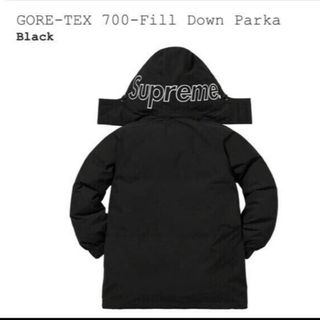 シュプリーム(Supreme)のSUPREME GORE-TEX 700-Fill Down Parka(ダウンジャケット)