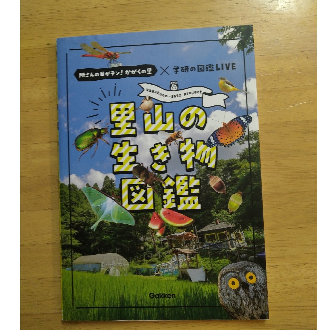 里山の生き物図鑑 エンタメ/ホビーの本(絵本/児童書)の商品写真