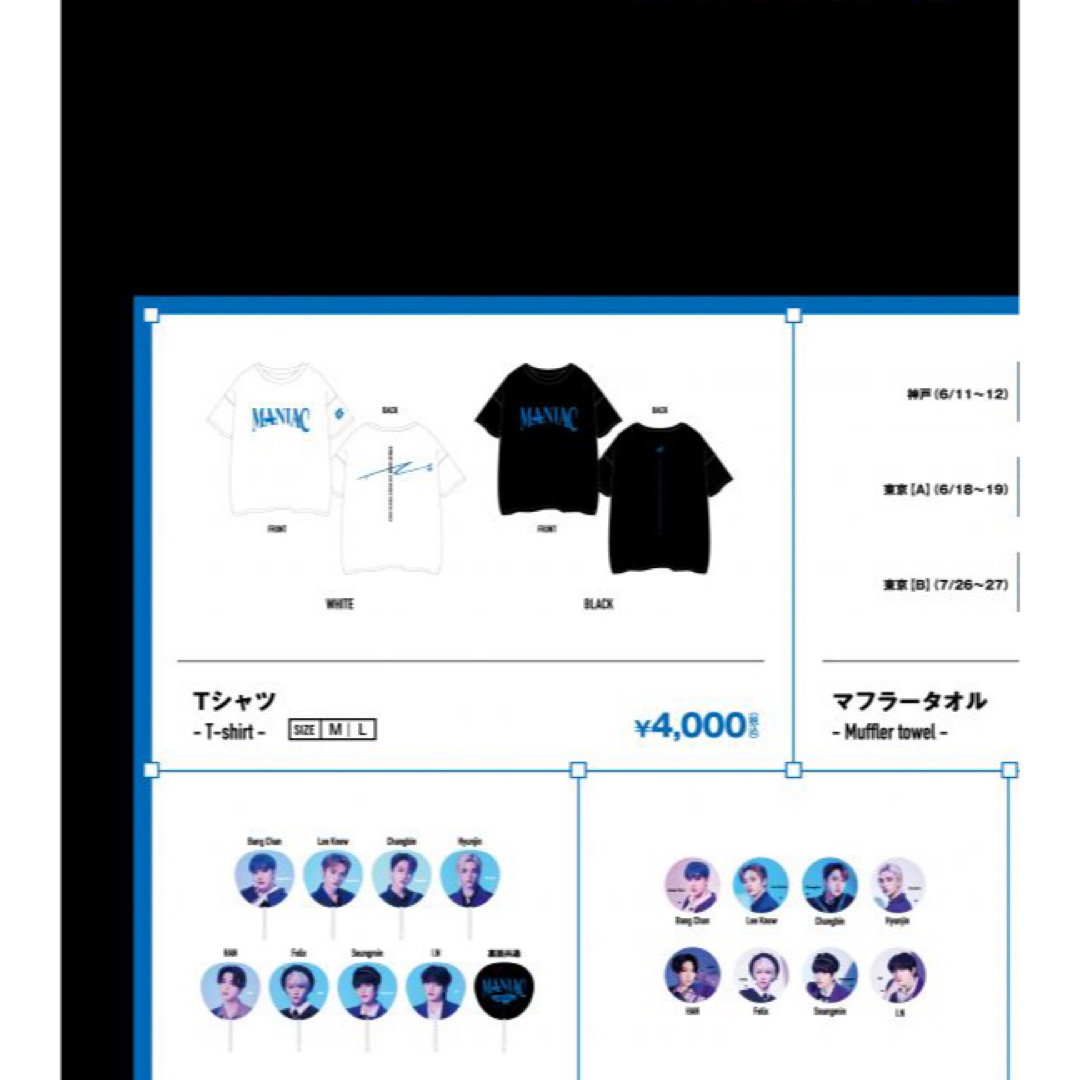 Stray Kids(ストレイキッズ)のstray kids ツアーTシャツ エンタメ/ホビーのタレントグッズ(アイドルグッズ)の商品写真