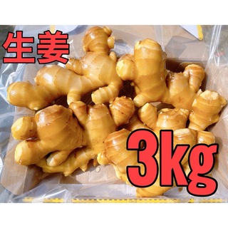 11月収穫分生姜3kg(野菜)