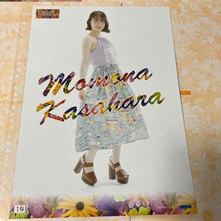 笠原桃奈 ピンポス(アイドルグッズ)