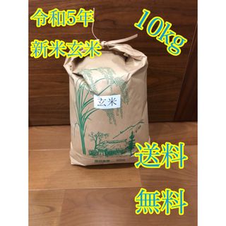 魚沼産新米・令和5年産新潟コシヒカリ★色彩選別済白米10㌔×2袋★農家まかない用08