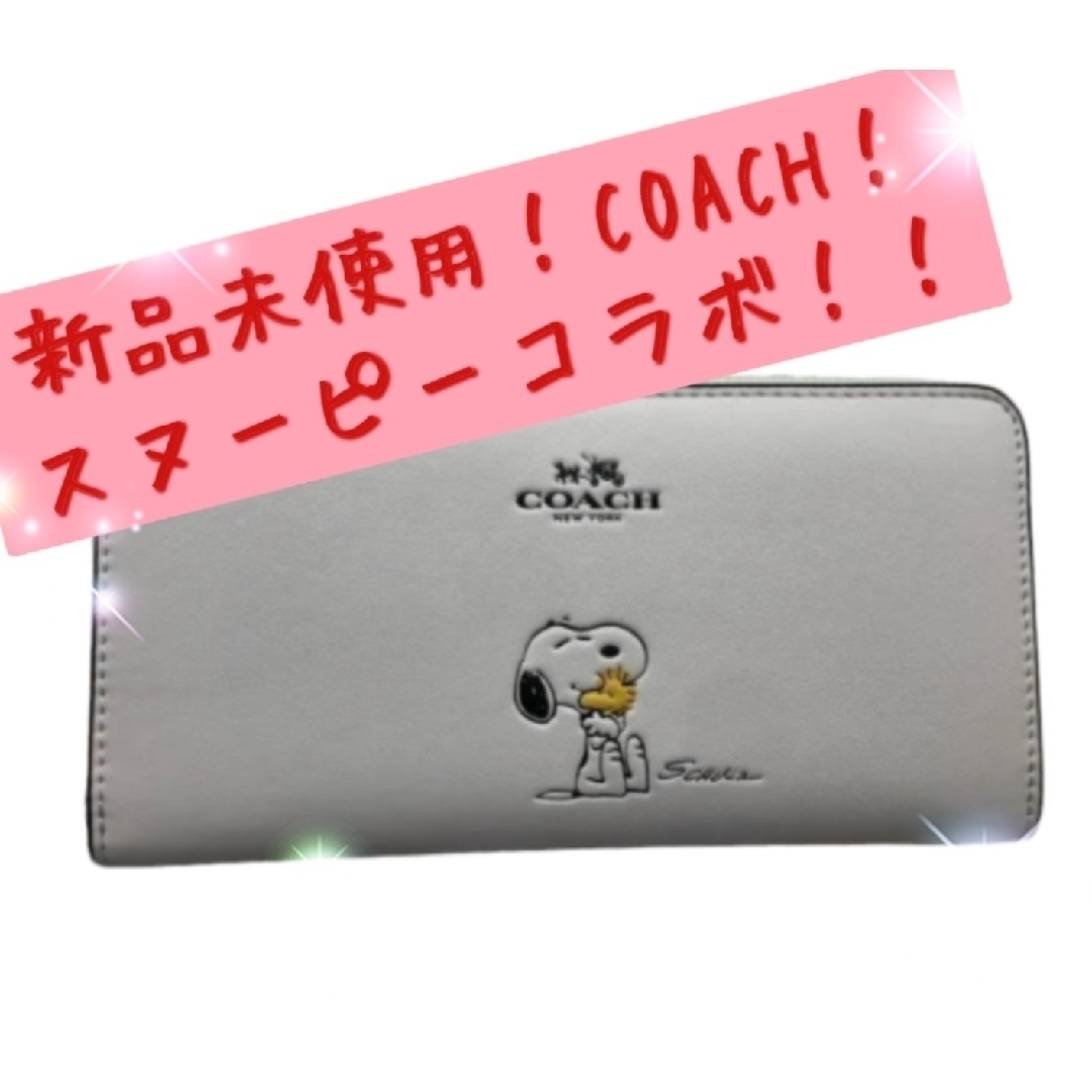 COACH - 新品未使用！ coach / コーチ×ピーナッツコラボ スヌーピー
