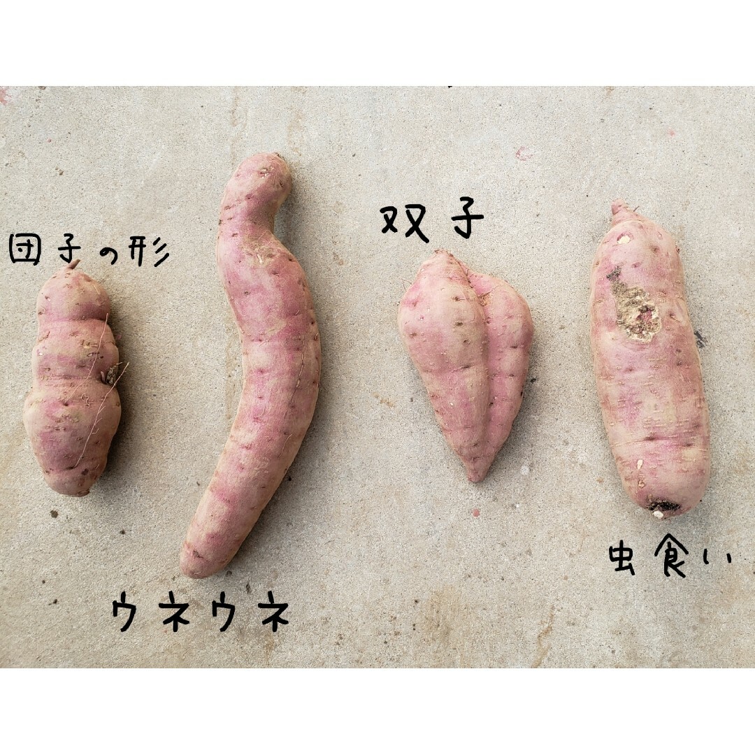 yu様専用商品です。紅はるか 訳あり 10kg 食品/飲料/酒の食品(野菜)の商品写真