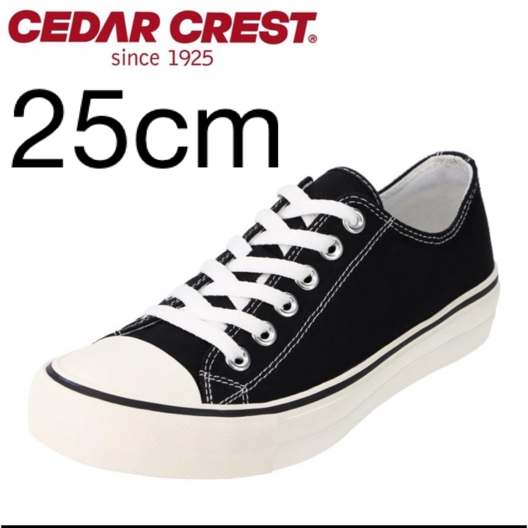 CEDAR CREST(セダークレスト)のスニーカー ローカット セダークレスト CEDAR CREST 25cm メンズの靴/シューズ(スニーカー)の商品写真