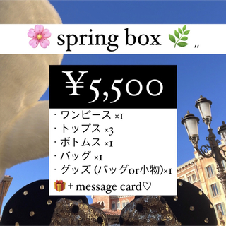 🌸spring box ①(ロングワンピース/マキシワンピース)