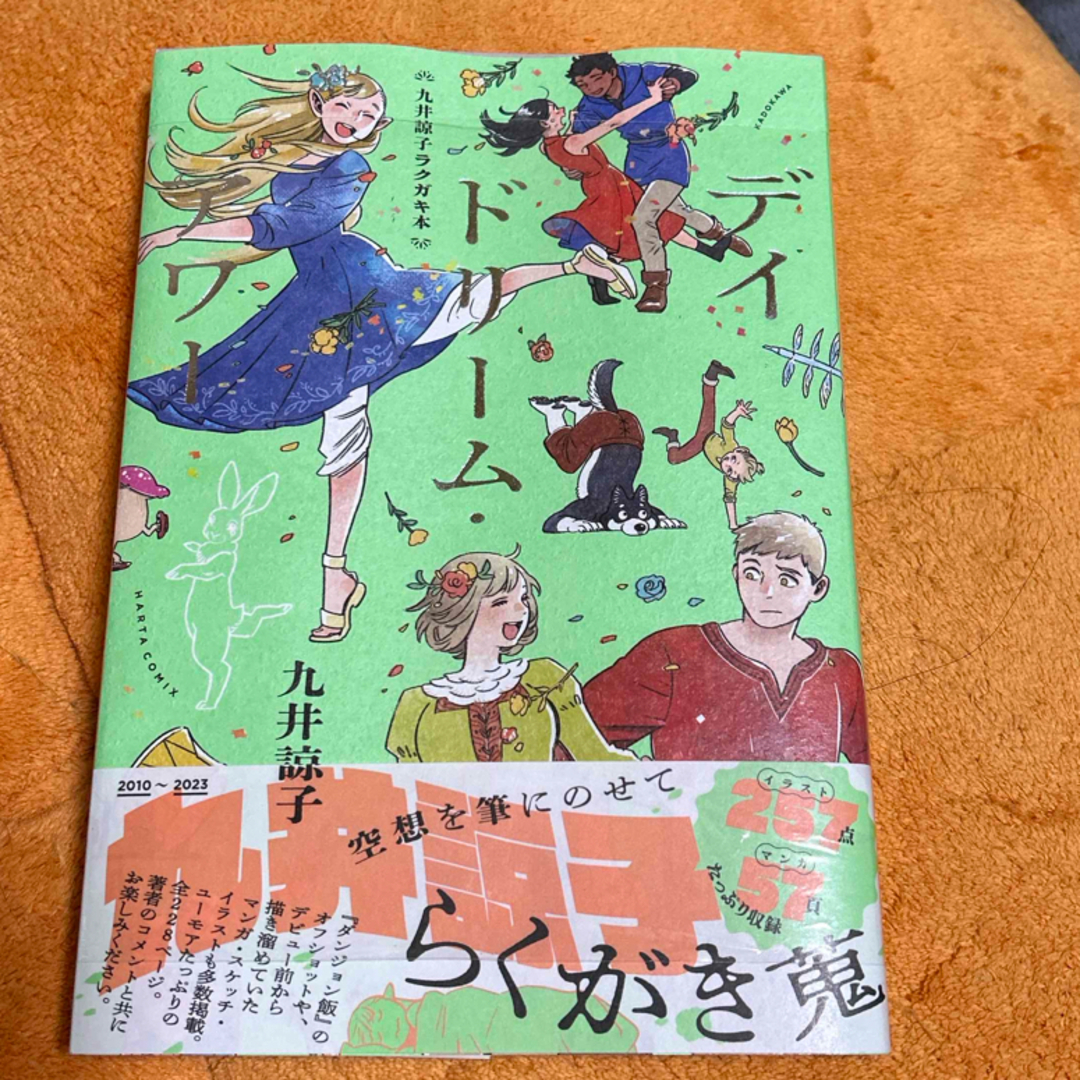 角川書店(カドカワショテン)の九井諒子ラクガキ本　デイドリーム・アワー エンタメ/ホビーの漫画(その他)の商品写真