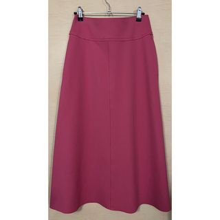 フィーニー(PHEENY)のpheeny 2022ss Amunzen A-line skirt (ロングスカート)