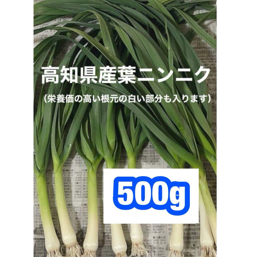 高知県産葉にんにく　葉ニンニク　産地直送500gjma 食品/飲料/酒の食品(野菜)の商品写真