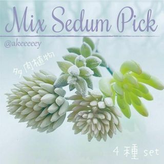 【高品質】アーティフィシャルフラワー♡Mix セダム 多肉植物 set_4種 (プランター)