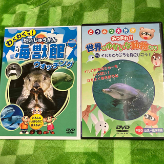海の生き物DVD 2枚セット(その他)