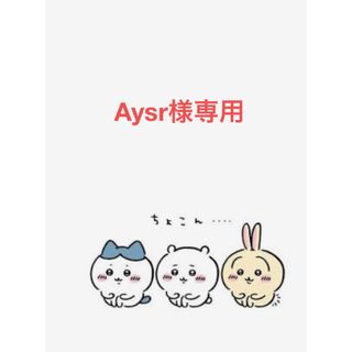 チイカワ(ちいかわ)のAysr様専用　オーダーページ(外出用品)