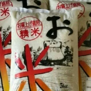 お米24kg(米/穀物)