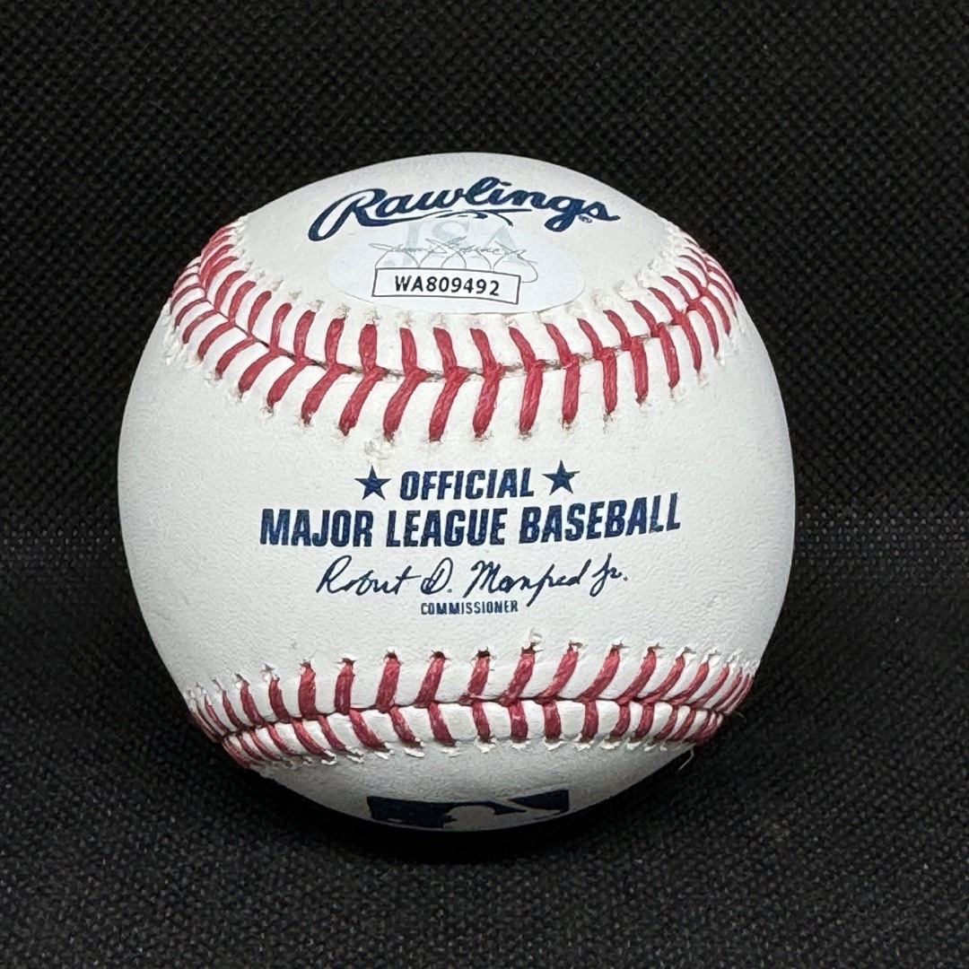 Rawlings(ローリングス)のカージナルス ヌートバー 直筆サイン MLB公式球 JSAホログラム スポーツ/アウトドアの野球(記念品/関連グッズ)の商品写真