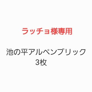 ●池の平アルペンブリック●リフト券　3枚　一日券　引換券(ウィンタースポーツ)