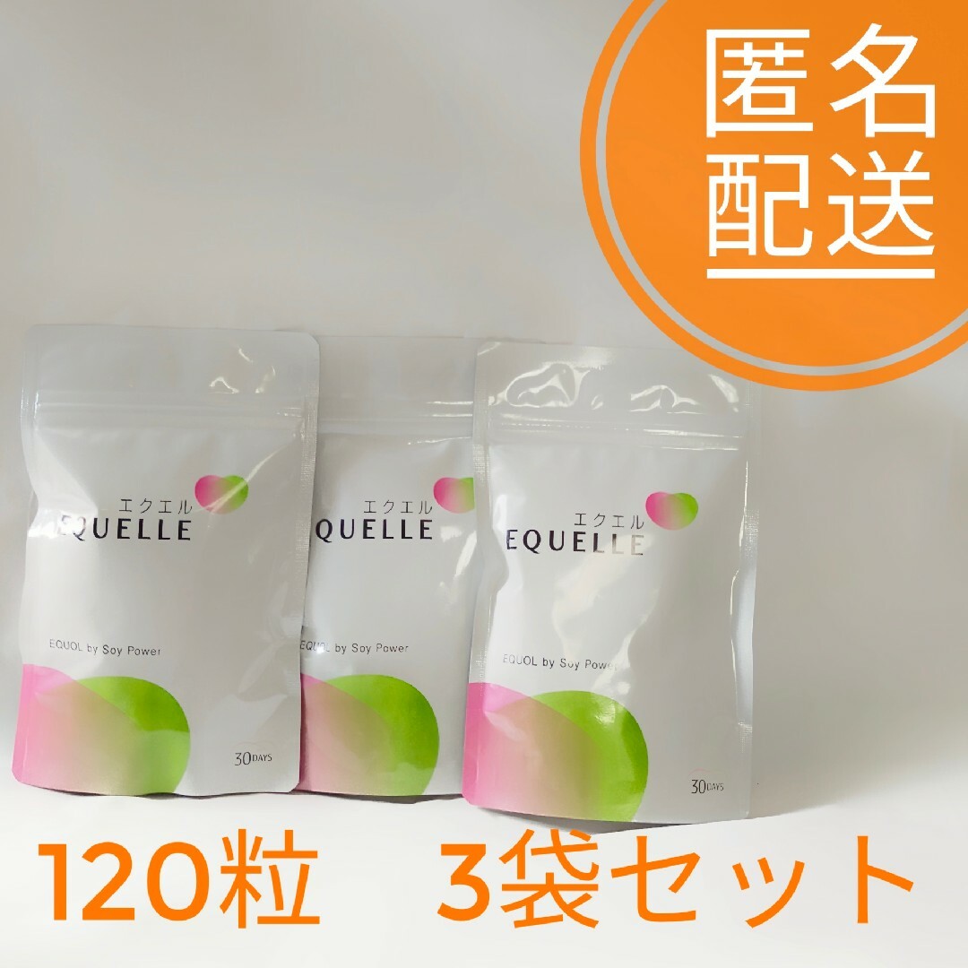 大塚製薬 エクエル パウチタイプ 120粒 × 3個