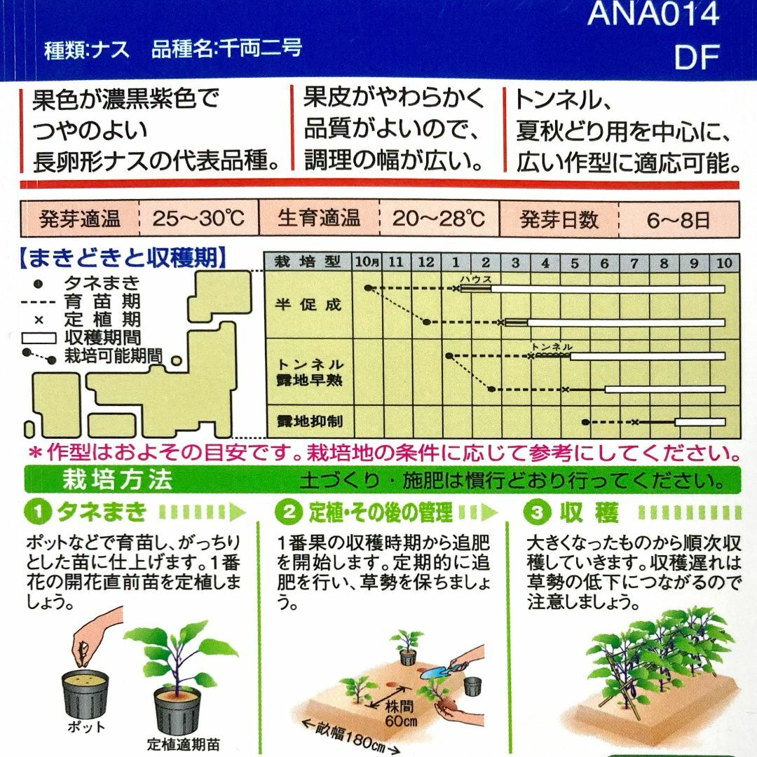 野菜種子 TVK10 千両二号ナス 3粒 x 2個 食品/飲料/酒の食品(野菜)の商品写真