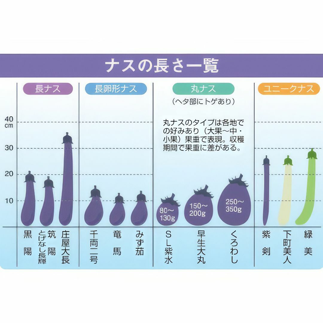 野菜種子 TVK10 千両二号ナス 3粒 x 2個 食品/飲料/酒の食品(野菜)の商品写真