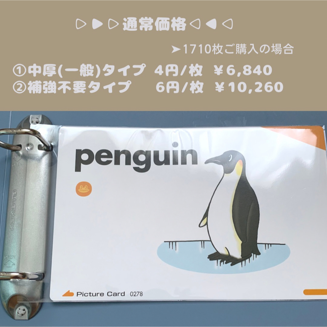 在庫整理 セール価格 ペッピーキッズ ピクチャーカード 収納袋 補強不要タイプ インテリア/住まい/日用品の文房具(ファイル/バインダー)の商品写真