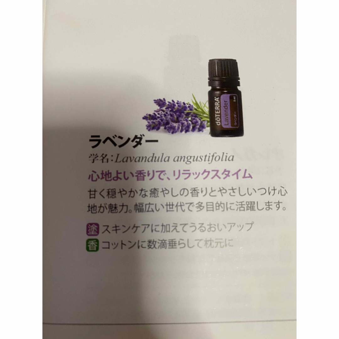 doTERRA(ドテラ)の【新品未開封】 doTERRA ドテラ ラベンダー 5ml コスメ/美容のリラクゼーション(エッセンシャルオイル（精油）)の商品写真