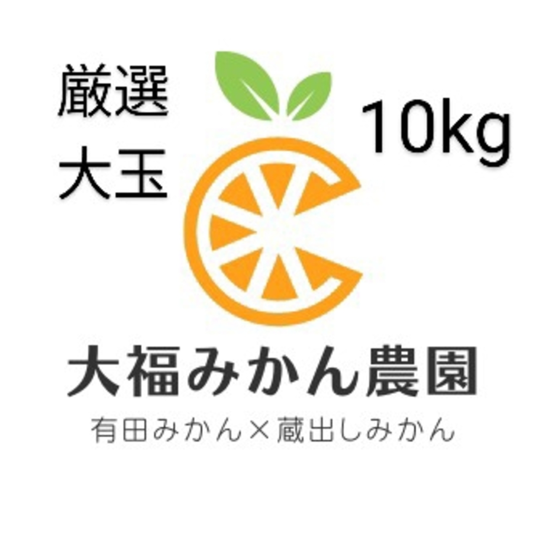 有田みかん(アリダミカン)の【大人気】厳選大玉(有田みかん・蔵出しみかん)10kg　大福みかん農園 食品/飲料/酒の食品(フルーツ)の商品写真