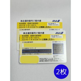 エーエヌエー(ゼンニッポンクウユ)(ANA(全日本空輸))のANA 全日空 株主優待券　2枚(その他)