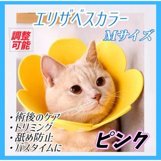 エリザベスカラー ピンク ２枚セット猫 犬 ペット 傷口保護 舐め防止(猫)