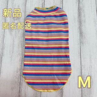 新品 犬服 ボーダーリブニット  M(犬)